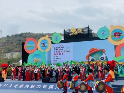 四川鄉(xiāng)村文化魅力 雅安漢源開(kāi)啟互聯(lián)網(wǎng)文化新篇章