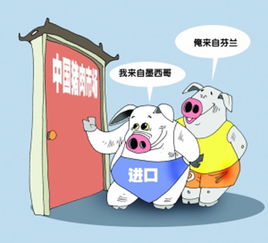 豬肉進(jìn)口量創(chuàng)新高，價(jià)格優(yōu)勢(shì)推動(dòng)網(wǎng)上貿(mào)易代理興起